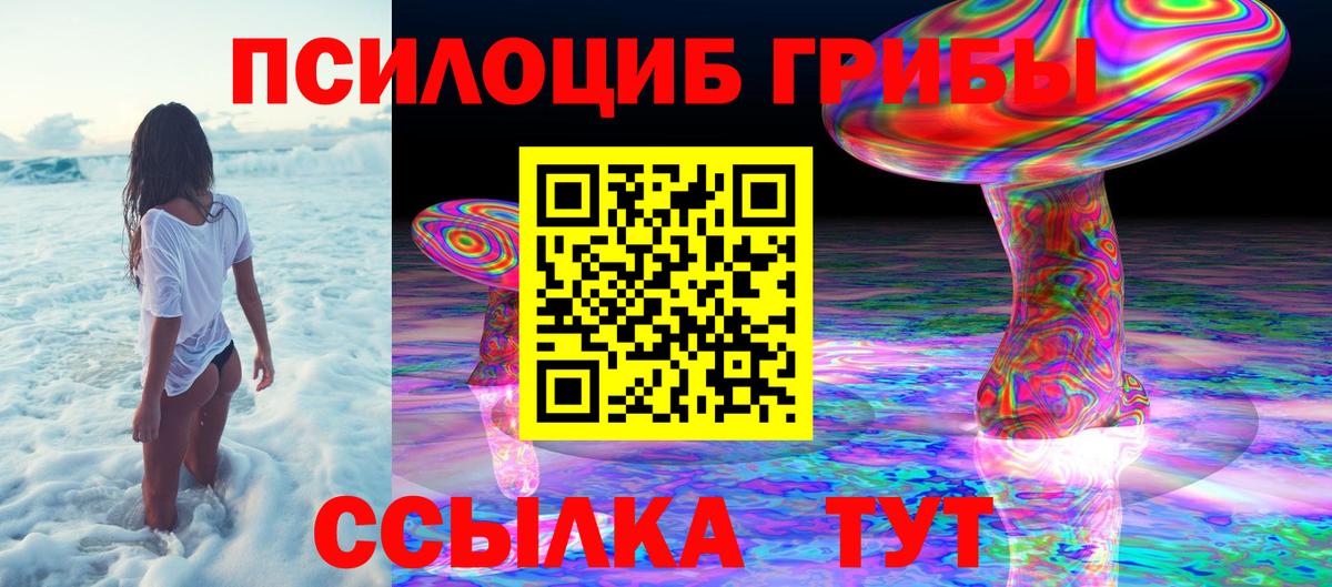Псилоцибиновые грибы Magic Shrooms Казань