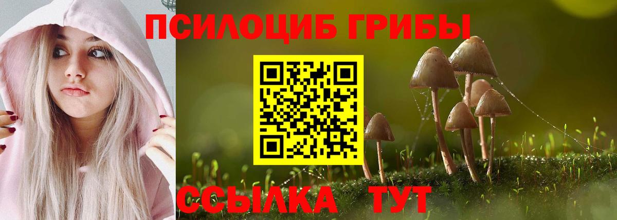 Галлюциногенные грибы MAGIC MUSHROOMS  Вход с VPN  Псилоцибиновые грибы Psilocybine cubensis  Казань 